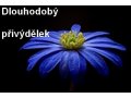 Dlouhodobý přivýdělek