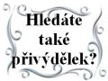 Hledáte přivýdělek?