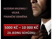 HLEDÁM MILENKU, VELKÁ FINANČNÍ ODMĚNA!